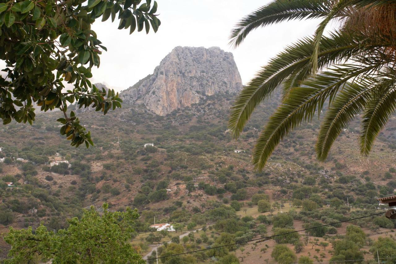 Lagar Del Chorro Junto Caminito Del Rey Piscina Y Baloncesto Lägenhet Exteriör bild